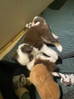 processed/51d3fdc9-cb06-4b0f-84ea-7487f9793359/listing/1edf65cc-8869-4761-bfb3-2463af86c0b2/329da3a4-4746-475e-b27d-e13d1c3e7427