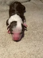 processed/51d3fdc9-cb06-4b0f-84ea-7487f9793359/listing/1edf65cc-8869-4761-bfb3-2463af86c0b2/87c2e4ac-c713-4507-85a2-82d9149671ed