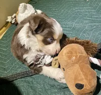 processed/51d3fdc9-cb06-4b0f-84ea-7487f9793359/listing/1edf65cc-8869-4761-bfb3-2463af86c0b2/8f8ad51f-3f3e-49ed-a42f-0a34f19987f6