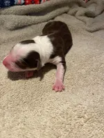 processed/51d3fdc9-cb06-4b0f-84ea-7487f9793359/listing/1edf65cc-8869-4761-bfb3-2463af86c0b2/9345c646-7ad4-4c1f-90f2-8fb10de38aff