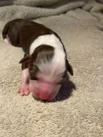 processed/51d3fdc9-cb06-4b0f-84ea-7487f9793359/listing/1edf65cc-8869-4761-bfb3-2463af86c0b2/aa85130b-3b2b-4ed0-bc13-aa9c5b2f40ab