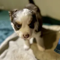 processed/51d3fdc9-cb06-4b0f-84ea-7487f9793359/listing/1edf65cc-8869-4761-bfb3-2463af86c0b2/b648bbad-09d4-4919-bdb2-046ded883e8e