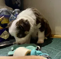 processed/51d3fdc9-cb06-4b0f-84ea-7487f9793359/listing/1edf65cc-8869-4761-bfb3-2463af86c0b2/bb807742-4162-4be5-a1ac-881b46c3a526