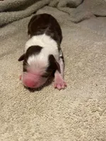 processed/51d3fdc9-cb06-4b0f-84ea-7487f9793359/listing/1edf65cc-8869-4761-bfb3-2463af86c0b2/d0f1332f-9862-4c69-b2d0-bbe4684993b6