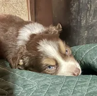 processed/51d3fdc9-cb06-4b0f-84ea-7487f9793359/listing/5c411143-c34f-4eeb-93ce-94e7544606e8/2fba3fdc-5d91-4c84-9d64-43707da5efe5