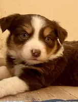 processed/51d3fdc9-cb06-4b0f-84ea-7487f9793359/listing/5c411143-c34f-4eeb-93ce-94e7544606e8/63c55edc-2612-47c8-9be1-cc44cbc1dd03