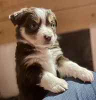 processed/51d3fdc9-cb06-4b0f-84ea-7487f9793359/listing/5c411143-c34f-4eeb-93ce-94e7544606e8/b677b44f-35fa-46d5-a1eb-3d9cbda146af