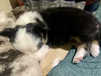 processed/51d3fdc9-cb06-4b0f-84ea-7487f9793359/listing/ae6bd0af-1108-403b-86dd-3a56e52a5d3a/089d8330-4ecc-4863-99bc-a1788f4e53b2