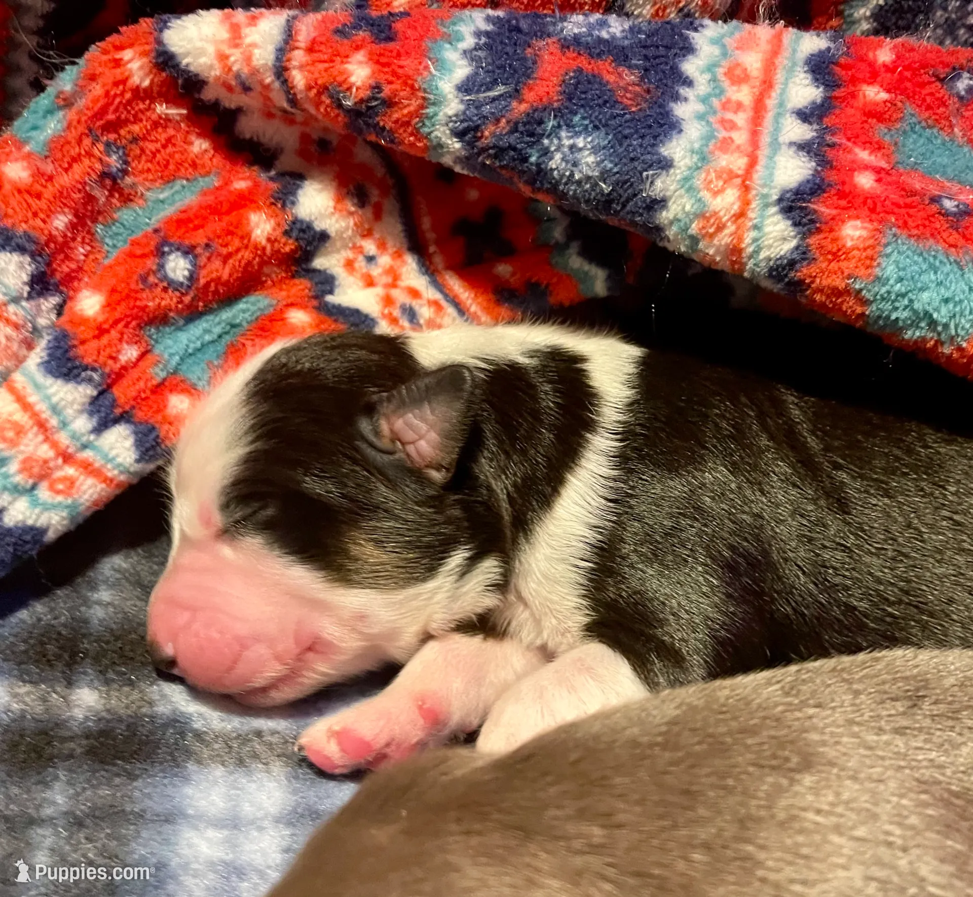 processed/51d3fdc9-cb06-4b0f-84ea-7487f9793359/listing/ae6bd0af-1108-403b-86dd-3a56e52a5d3a/67f5f709-ebf7-4abb-9dfd-aa9f3b47aa58