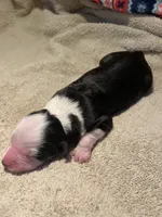 processed/51d3fdc9-cb06-4b0f-84ea-7487f9793359/listing/ae6bd0af-1108-403b-86dd-3a56e52a5d3a/7831f7c6-cd03-4e50-a7b9-c3497039790b