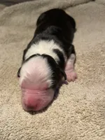 processed/51d3fdc9-cb06-4b0f-84ea-7487f9793359/listing/ae6bd0af-1108-403b-86dd-3a56e52a5d3a/7dcadc6e-0d4d-4190-9ae4-aa007879a3e8