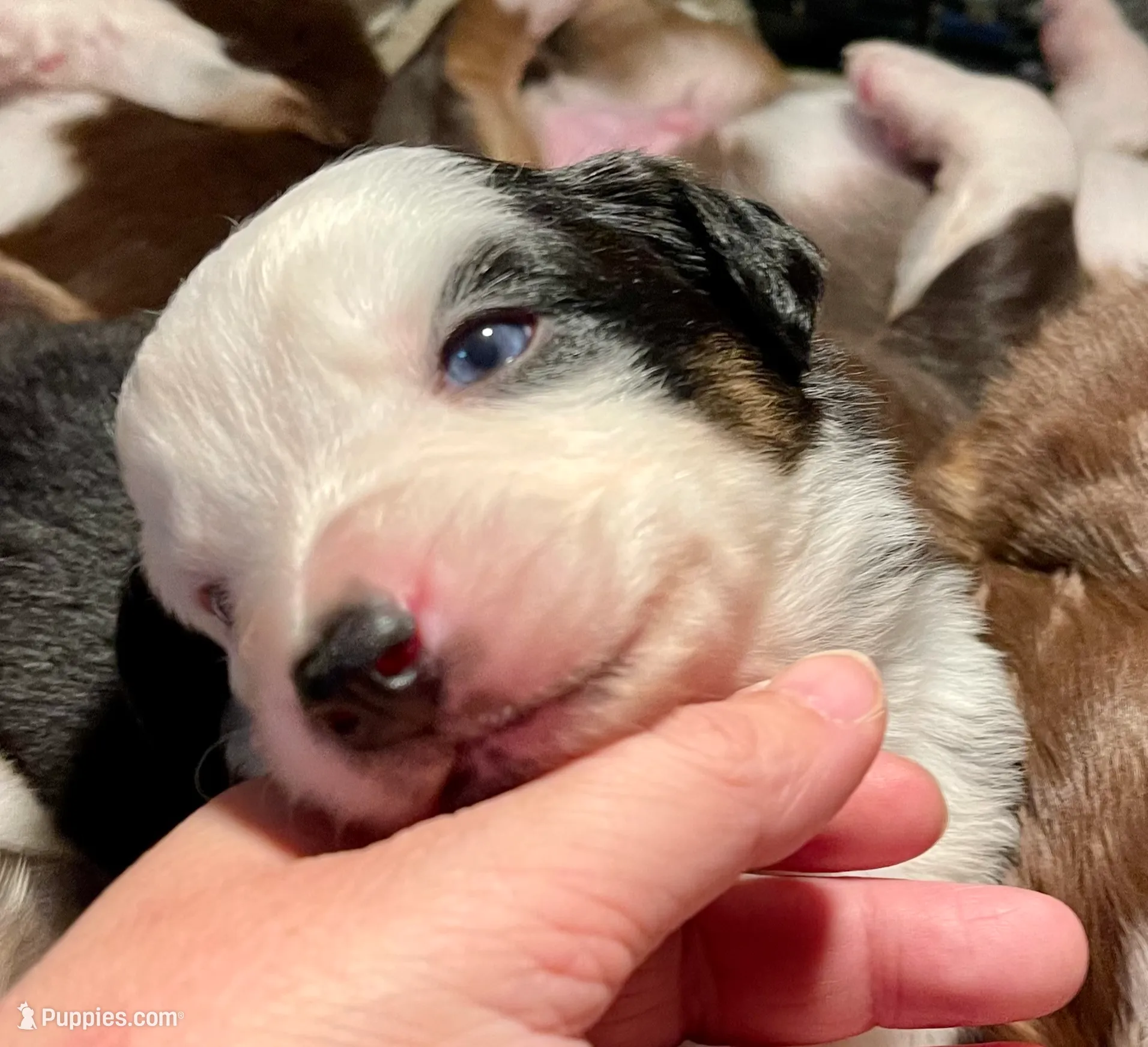 processed/51d3fdc9-cb06-4b0f-84ea-7487f9793359/listing/ae6bd0af-1108-403b-86dd-3a56e52a5d3a/e8f9a9ca-b668-4d43-ae02-3dff14dbc206