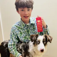 Timberline Captain "Jack", a male Australian Shepherd for sale in Somerset, KY – Photo 5 of 10