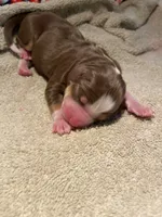 processed/51d3fdc9-cb06-4b0f-84ea-7487f9793359/listing/bb18c0e0-a1ba-4e1a-974d-e063b97ab6b4/062d3e54-c13d-4108-8dae-2cb8e1be4e15