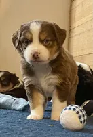 processed/51d3fdc9-cb06-4b0f-84ea-7487f9793359/listing/bb18c0e0-a1ba-4e1a-974d-e063b97ab6b4/6e3cfd5b-1cd0-4918-b123-0443fac2d46f