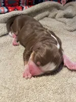 processed/51d3fdc9-cb06-4b0f-84ea-7487f9793359/listing/bb18c0e0-a1ba-4e1a-974d-e063b97ab6b4/85fc314b-e3c8-4448-b353-4b4300dfe685