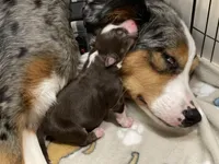 processed/51d3fdc9-cb06-4b0f-84ea-7487f9793359/listing/dc8a5684-709f-4bae-9df2-acf79f4cee78/2ee71119-e04c-40a2-bfa8-2a7d116dd6d4