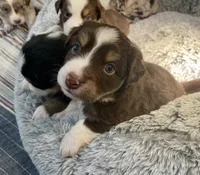 processed/51d3fdc9-cb06-4b0f-84ea-7487f9793359/listing/dc8a5684-709f-4bae-9df2-acf79f4cee78/34c0ca63-dde6-44d7-b640-24d7a2be503c