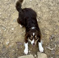 processed/51d3fdc9-cb06-4b0f-84ea-7487f9793359/listing/dc8a5684-709f-4bae-9df2-acf79f4cee78/55845b1f-0123-49a2-baae-7ef1e6f81ca0