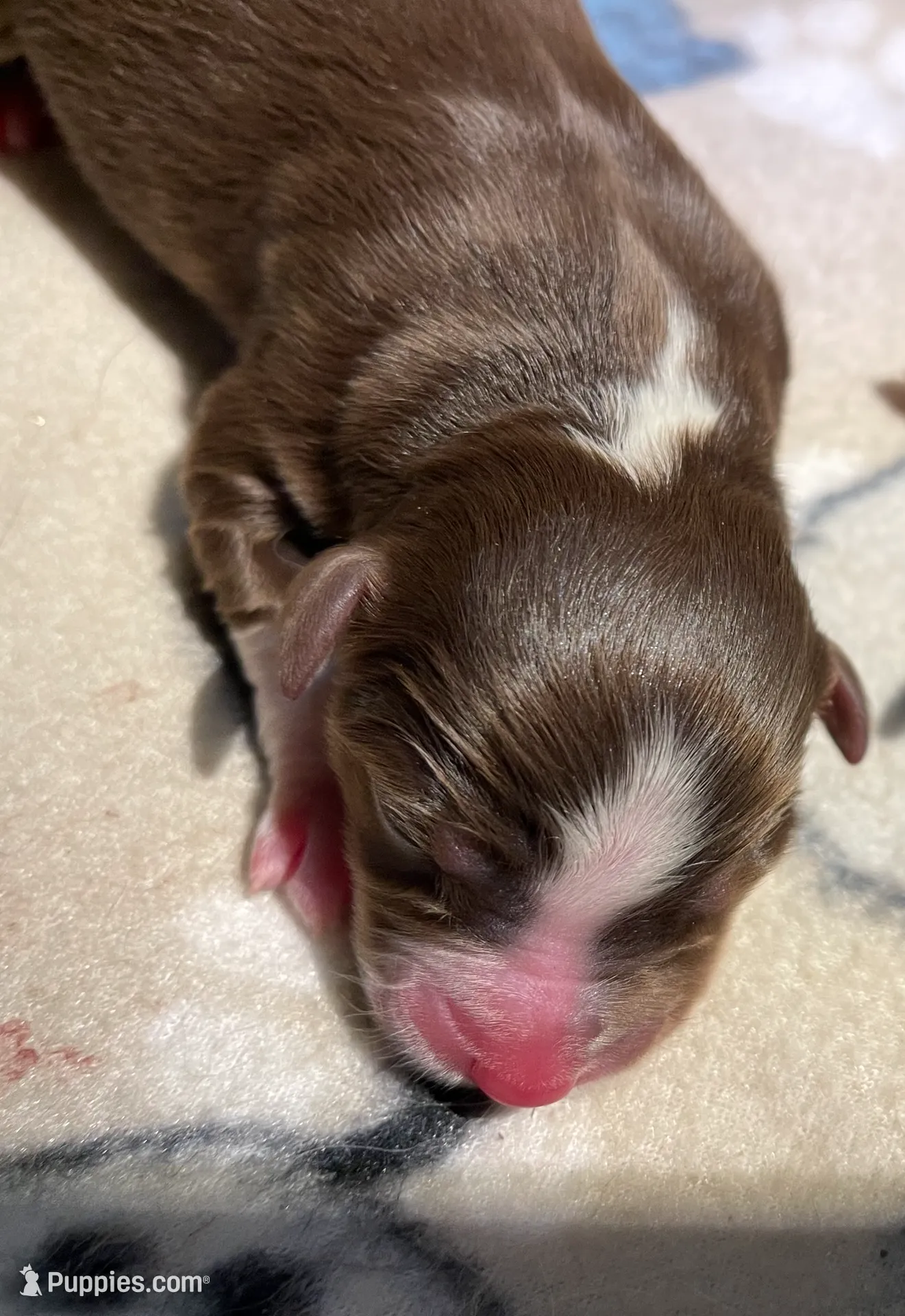 processed/51d3fdc9-cb06-4b0f-84ea-7487f9793359/listing/dc8a5684-709f-4bae-9df2-acf79f4cee78/599e02d9-4418-41cc-ad83-a7d4411d1bb3