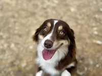 processed/51d3fdc9-cb06-4b0f-84ea-7487f9793359/listing/dc8a5684-709f-4bae-9df2-acf79f4cee78/864d1ed6-e9cd-41e1-a92f-792bd8b4eaa4