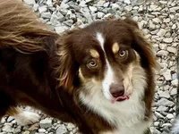 processed/51d3fdc9-cb06-4b0f-84ea-7487f9793359/listing/dc8a5684-709f-4bae-9df2-acf79f4cee78/a3e5dae7-c568-445d-a848-80870a803f5c