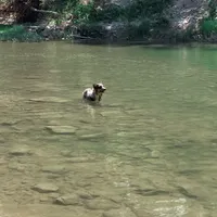 processed/51d88890-a0c6-4efe-a006-d9e868dfe756/facility/135c4af0-c9bb-4309-b7a3-586c9e90f13a