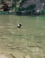 processed/51d88890-a0c6-4efe-a006-d9e868dfe756/facility/135c4af0-c9bb-4309-b7a3-586c9e90f13a