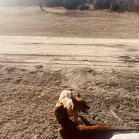 processed/51d88890-a0c6-4efe-a006-d9e868dfe756/facility/2ecb5c89-d024-4a22-959b-09039dc9644c