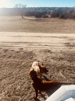 processed/51d88890-a0c6-4efe-a006-d9e868dfe756/facility/2ecb5c89-d024-4a22-959b-09039dc9644c