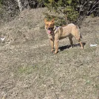 processed/51d88890-a0c6-4efe-a006-d9e868dfe756/facility/34f957da-da1a-4fea-8bf8-d62710782cd9