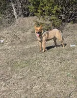 processed/51d88890-a0c6-4efe-a006-d9e868dfe756/facility/34f957da-da1a-4fea-8bf8-d62710782cd9