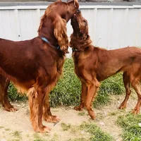 processed/51d88890-a0c6-4efe-a006-d9e868dfe756/facility/3ee7e589-ad25-4228-a359-9c41f9466a16