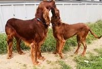 processed/51d88890-a0c6-4efe-a006-d9e868dfe756/facility/3ee7e589-ad25-4228-a359-9c41f9466a16