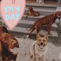 processed/51d88890-a0c6-4efe-a006-d9e868dfe756/facility/60e89639-16aa-4f9c-bad7-fab703b07f32