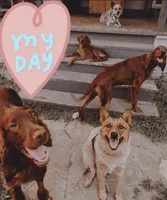 processed/51d88890-a0c6-4efe-a006-d9e868dfe756/facility/60e89639-16aa-4f9c-bad7-fab703b07f32