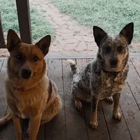 processed/51d88890-a0c6-4efe-a006-d9e868dfe756/facility/67f23330-ad24-4683-8679-d7192329417f