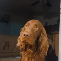 processed/51d88890-a0c6-4efe-a006-d9e868dfe756/facility/74d5fba7-561d-4ce4-9bd5-b2ddbc699126