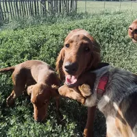 processed/51d88890-a0c6-4efe-a006-d9e868dfe756/facility/7f8e498b-692c-44e8-8a65-7c20296ca468