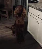 processed/51d88890-a0c6-4efe-a006-d9e868dfe756/listing/29887400-0f2b-4e35-b875-9b4ea8bd6f7a/0462bc62-6e58-4aca-b97e-8a0c17ace09b