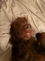 processed/51d88890-a0c6-4efe-a006-d9e868dfe756/listing/29887400-0f2b-4e35-b875-9b4ea8bd6f7a/786fb840-bbc2-4957-9ea3-9770353c8506