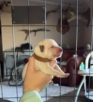 processed/51d88890-a0c6-4efe-a006-d9e868dfe756/listing/5de1fcf3-eb7f-47e6-9258-a9b789db09e5/fe8ecea2-ffa1-4847-94b4-91c607ad0bbd