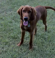 processed/51d88890-a0c6-4efe-a006-d9e868dfe756/listing/848bf10c-df91-48b3-af11-2fe31bf3f610/3c72c9b5-9d53-438d-bb7b-a5f8c93b4710