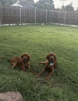 processed/51d88890-a0c6-4efe-a006-d9e868dfe756/listing/848bf10c-df91-48b3-af11-2fe31bf3f610/3fae37d3-5583-427e-86ee-32b71bdf3e30