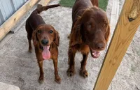 processed/51d88890-a0c6-4efe-a006-d9e868dfe756/listing/848bf10c-df91-48b3-af11-2fe31bf3f610/7768c650-3792-4b9e-bb28-ca02dee52971