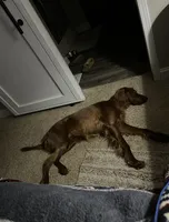 processed/51d88890-a0c6-4efe-a006-d9e868dfe756/listing/848bf10c-df91-48b3-af11-2fe31bf3f610/a5217ddc-4fa3-4342-8d31-f1fd1164ef19