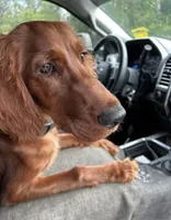 processed/51d88890-a0c6-4efe-a006-d9e868dfe756/listing/848bf10c-df91-48b3-af11-2fe31bf3f610/ae1d4979-d160-4e28-b5e7-54bb2c1e10c5