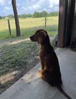 processed/51d88890-a0c6-4efe-a006-d9e868dfe756/listing/848bf10c-df91-48b3-af11-2fe31bf3f610/b64f42e8-704f-40ee-81b4-668d8964c0a3