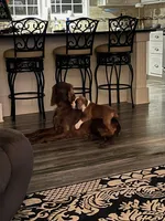 processed/51d88890-a0c6-4efe-a006-d9e868dfe756/listing/848bf10c-df91-48b3-af11-2fe31bf3f610/beb0b293-5cf3-44e7-9e80-0a4e10197284