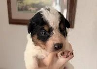 processed/51d88890-a0c6-4efe-a006-d9e868dfe756/listing/ddaaa4f7-cc8c-4612-a799-4e6d1a0d8837/cd60f5c8-51d5-4a36-9ded-aee68ec749c8